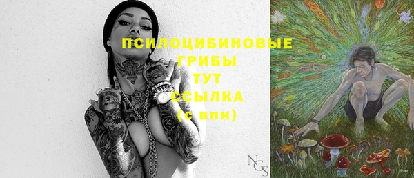 амф Арсеньев