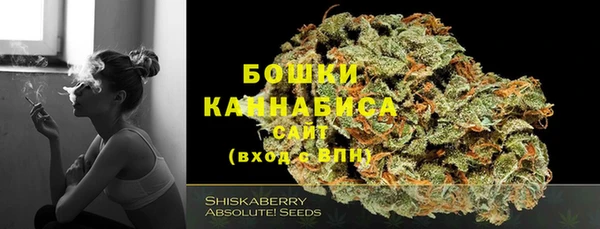 прущие грибы Пересвет