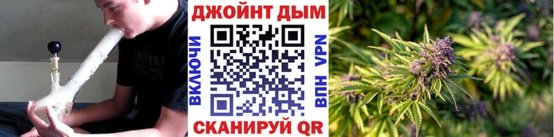 даркнет сайт  Баймак  Бошки Шишки планчик 